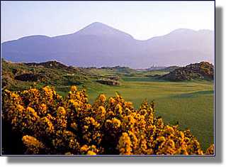 Mournes picture #5